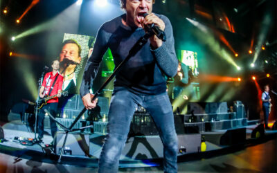 Neues Tote Hosen Album